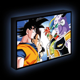 DRAGON BALL Z - Face Off - Luminous Canvas 40X30 Cm 