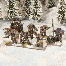 Kings of War - Champions Arokamorra Company Box (FR) 