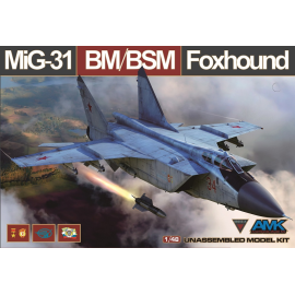 MIKOYAN MIG 31BM/BSM FOXHOUND 