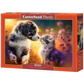 NEW FRIENDSHIP Puzzel 